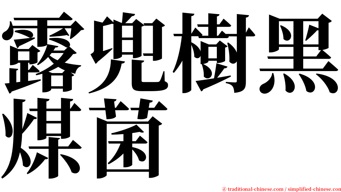 露兜樹黑煤菌 serif font