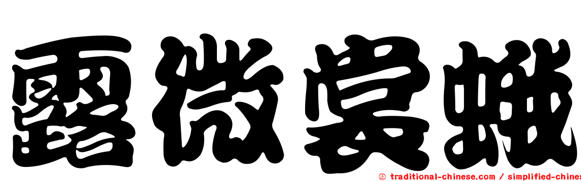 露微裳蛾