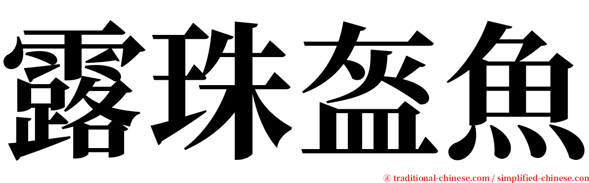 露珠盔魚 serif font