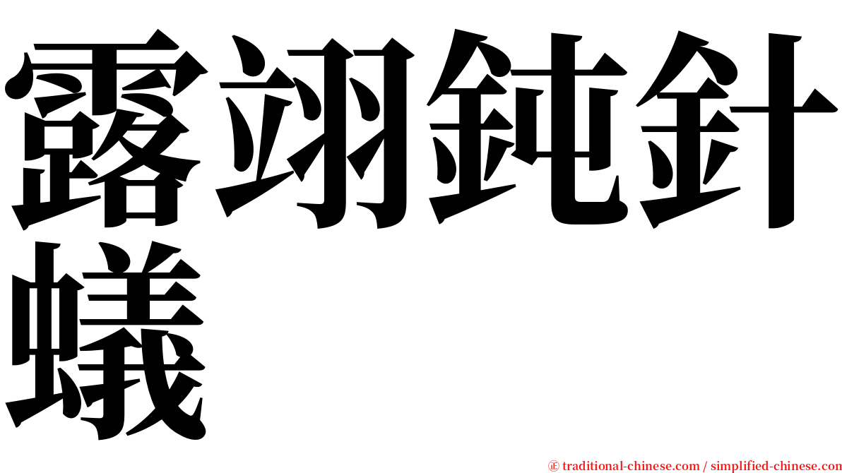 露翊鈍針蟻 serif font