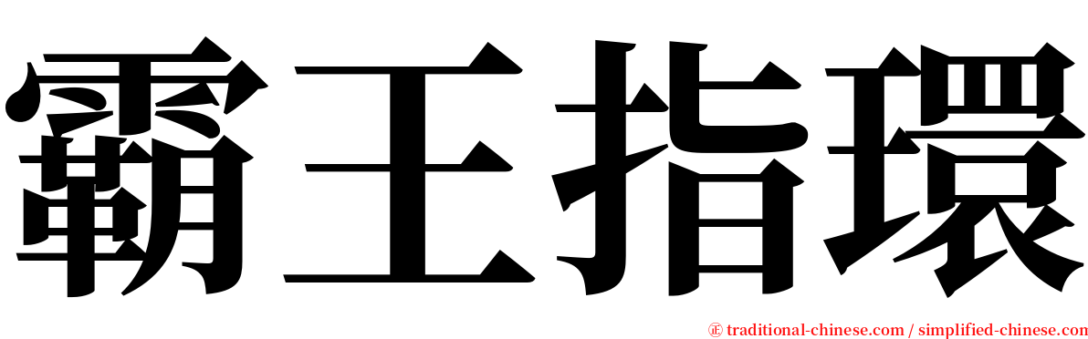 霸王指環 serif font