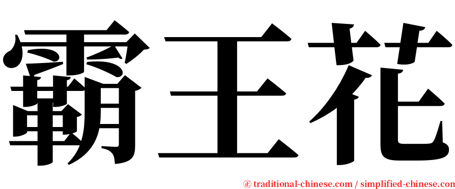 霸王花 serif font