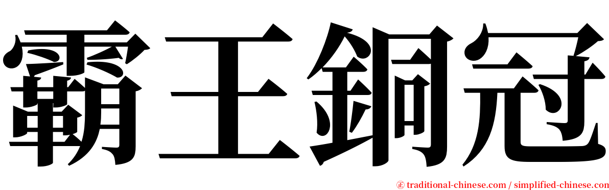 霸王銅冠 serif font