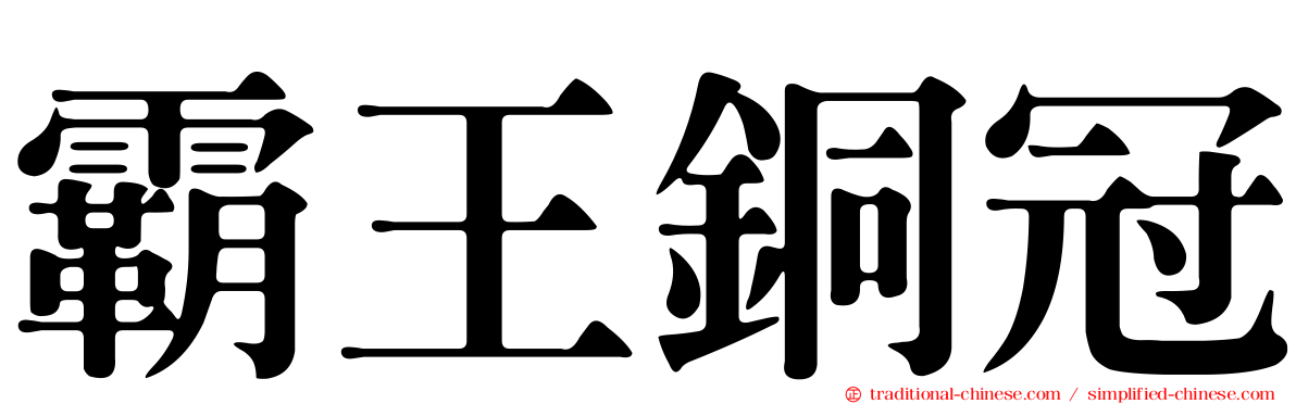 霸王銅冠