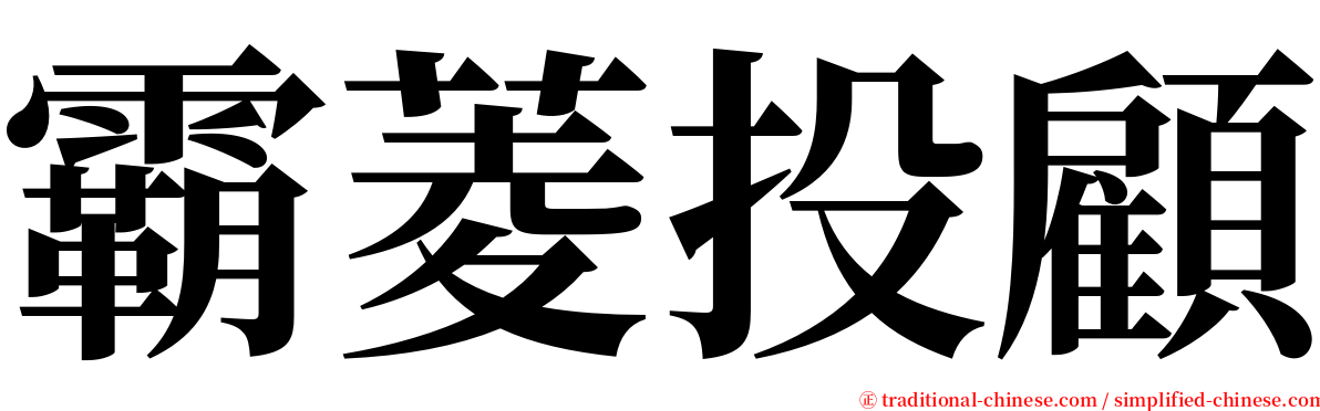 霸菱投顧 serif font