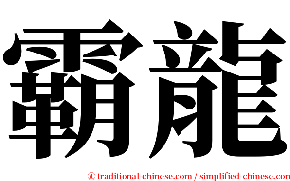 霸龍 serif font