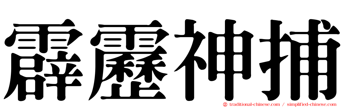 霹靂神捕