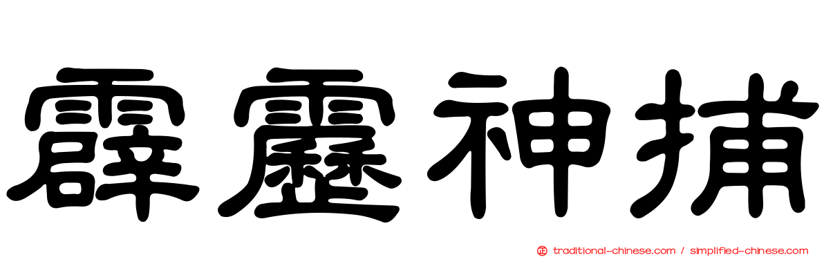 霹靂神捕