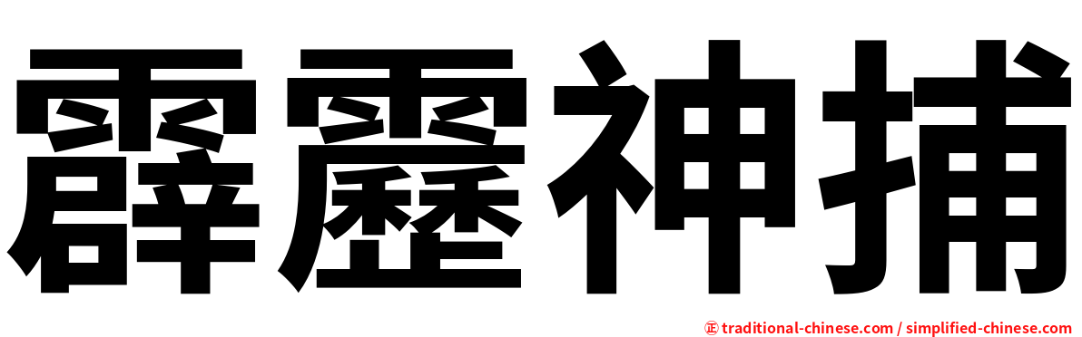 霹靂神捕