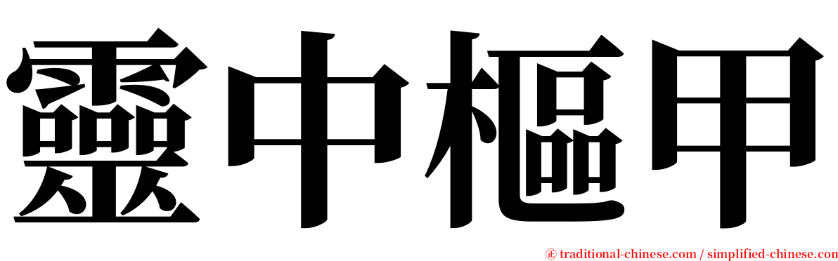 靈中樞甲 serif font