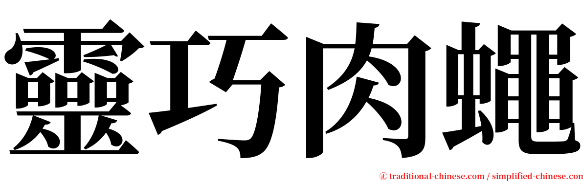 靈巧肉蠅 serif font