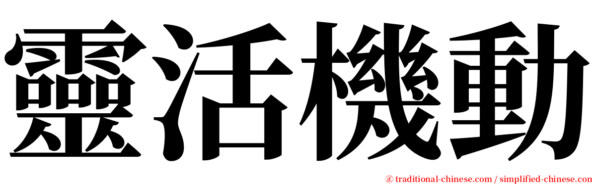 靈活機動 serif font