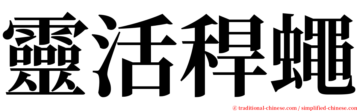 靈活稈蠅 serif font