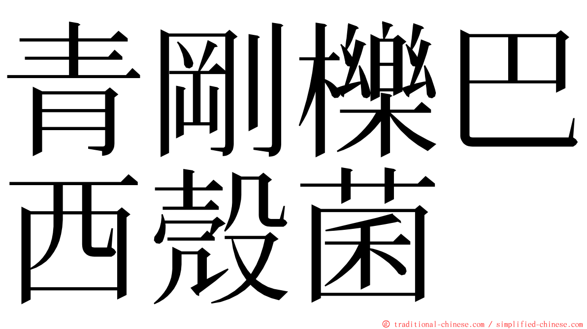 青剛櫟巴西殼菌 ming font