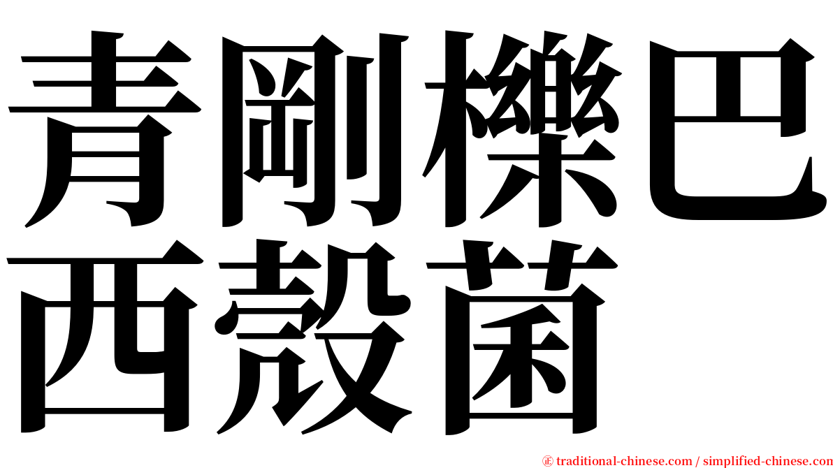 青剛櫟巴西殼菌 serif font