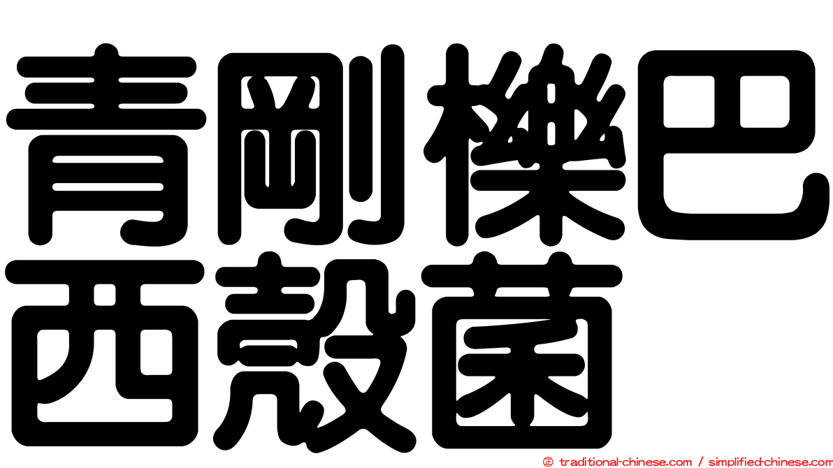 青剛櫟巴西殼菌