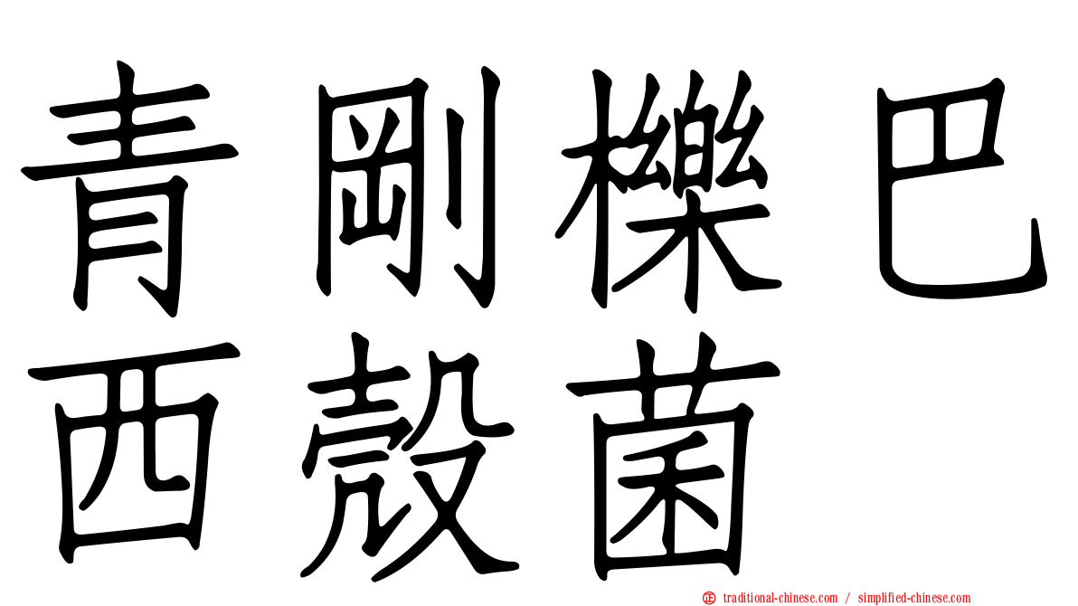 青剛櫟巴西殼菌