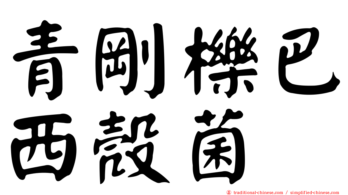 青剛櫟巴西殼菌