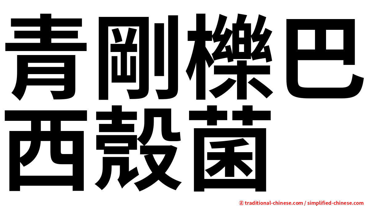 青剛櫟巴西殼菌