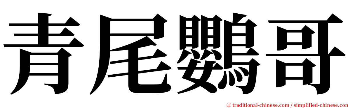 青尾鸚哥 serif font