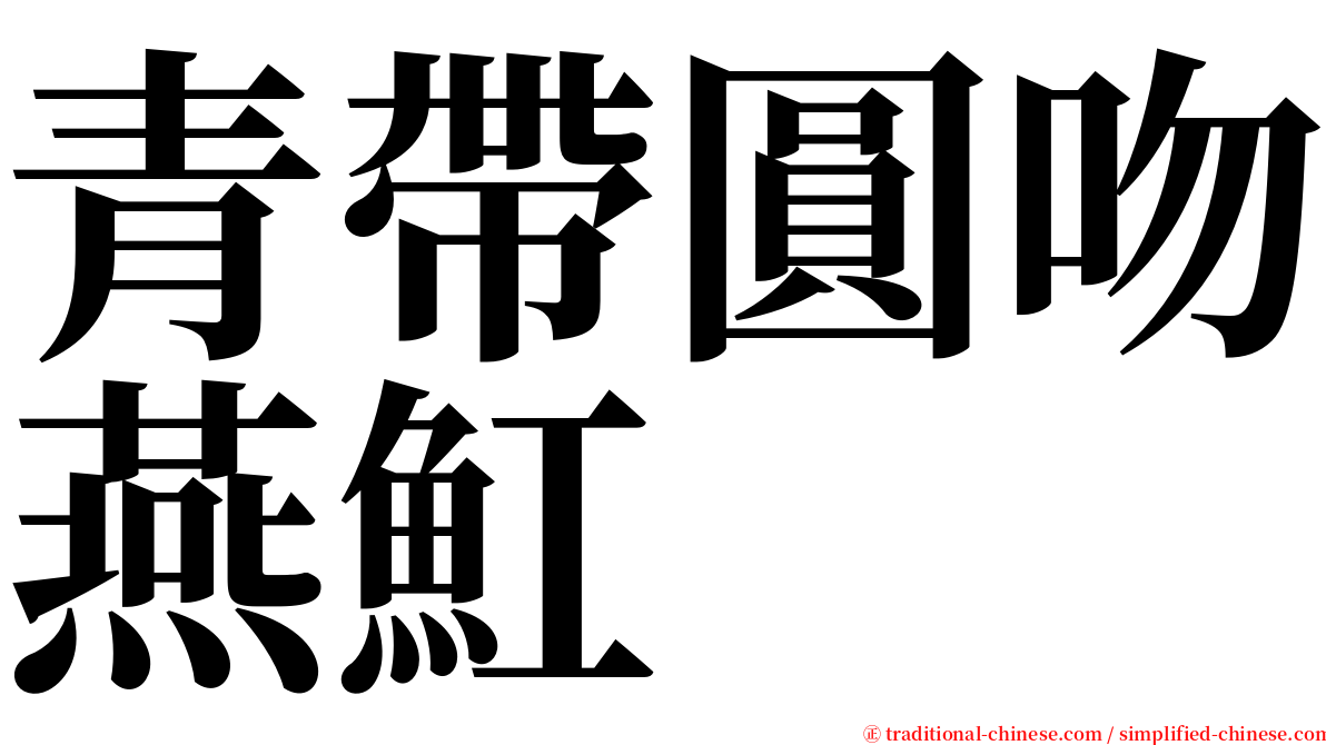 青帶圓吻燕魟 serif font