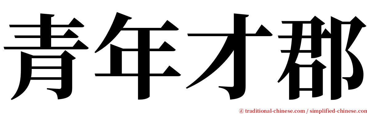 青年才郡 serif font