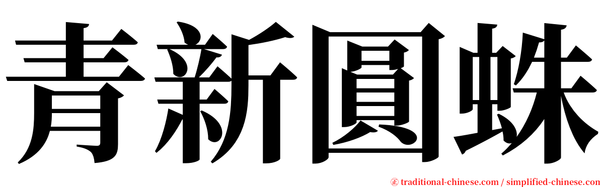 青新圓蛛 serif font