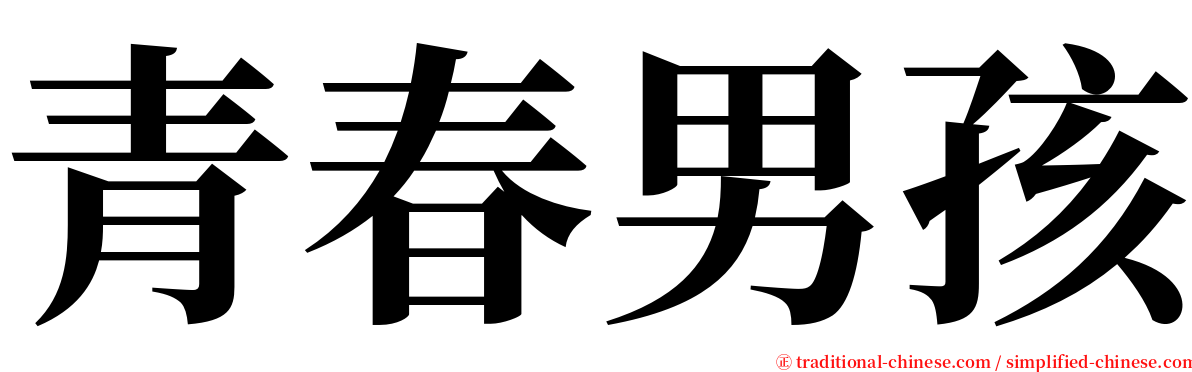 青春男孩 serif font