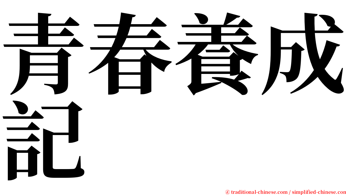 青春養成記 serif font