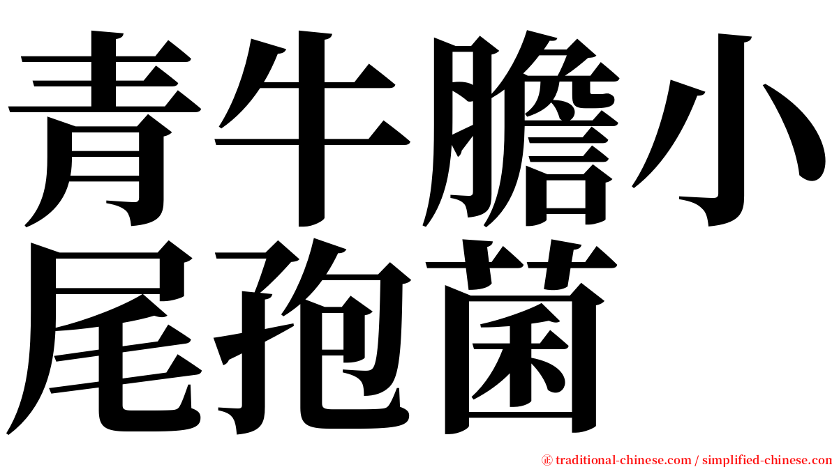 青牛膽小尾孢菌 serif font