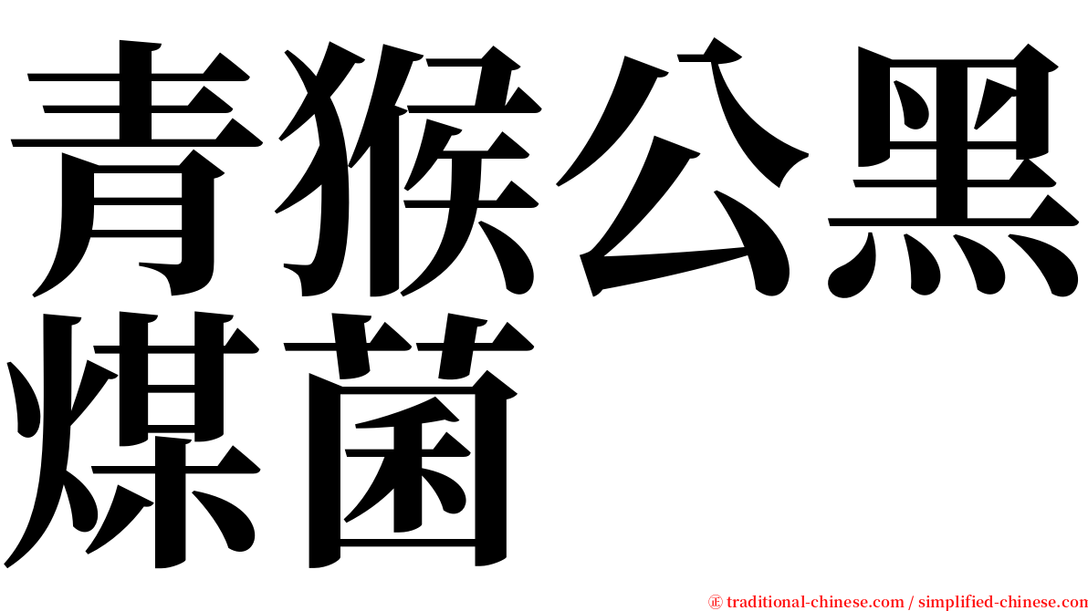 青猴公黑煤菌 serif font