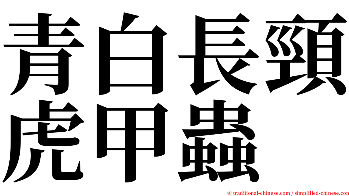 青白長頸虎甲蟲 serif font