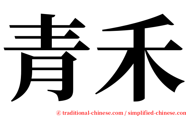 青禾 serif font