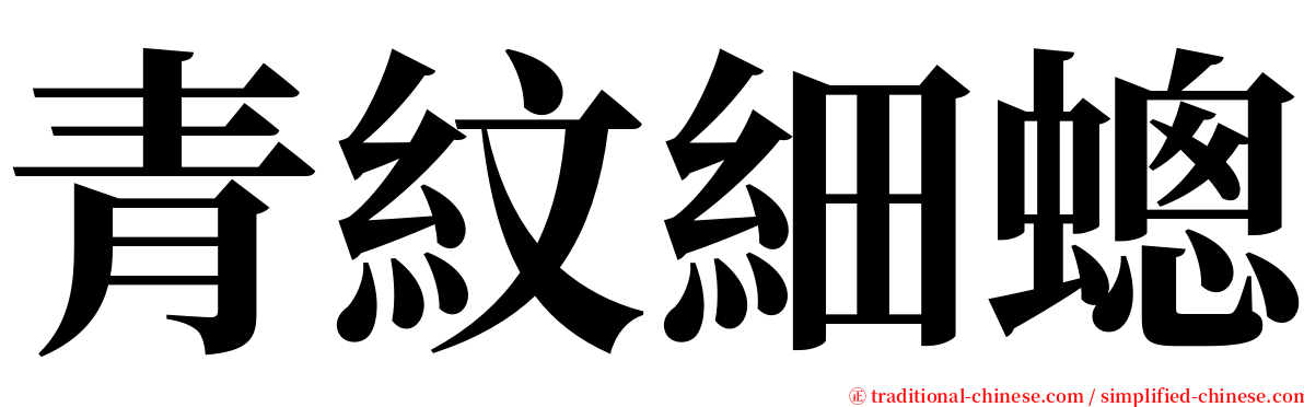 青紋細蟌 serif font