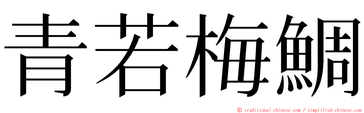 青若梅鯛 ming font