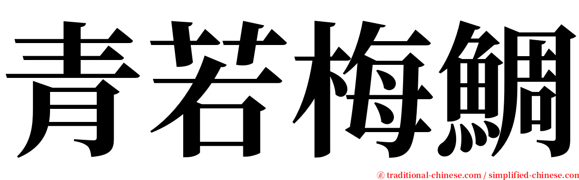 青若梅鯛 serif font