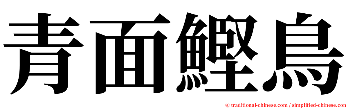 青面鰹鳥 serif font