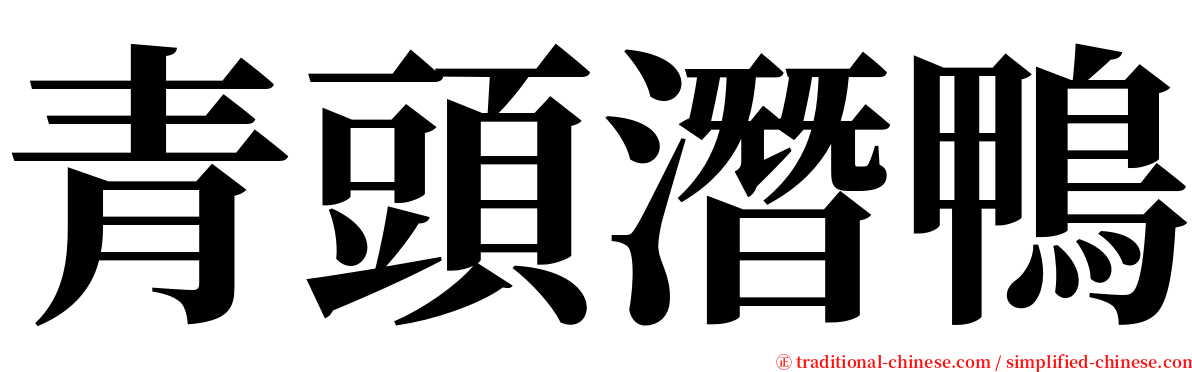 青頭潛鴨 serif font