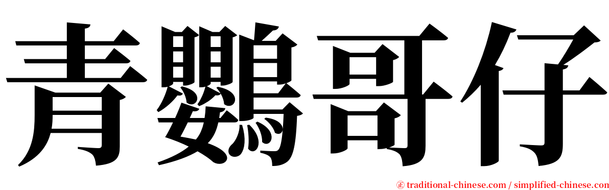 青鸚哥仔 serif font