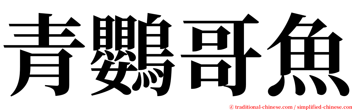 青鸚哥魚 serif font