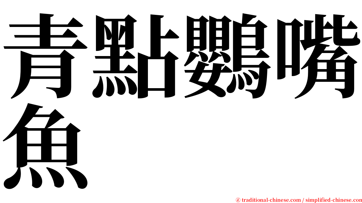 青點鸚嘴魚 serif font