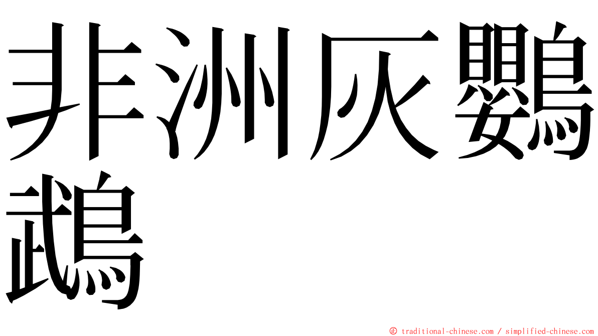 非洲灰鸚鵡 ming font