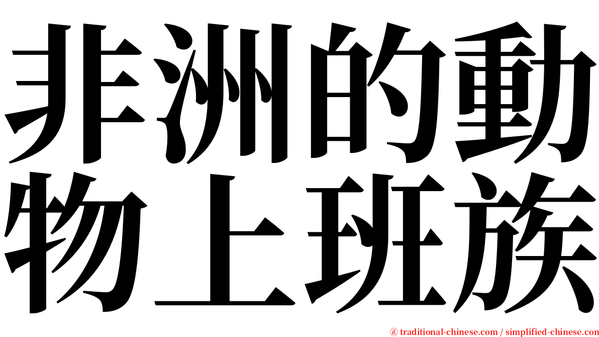 非洲的動物上班族 serif font