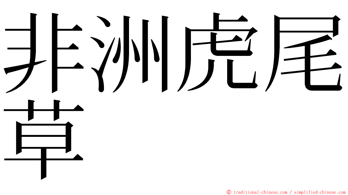 非洲虎尾草 ming font