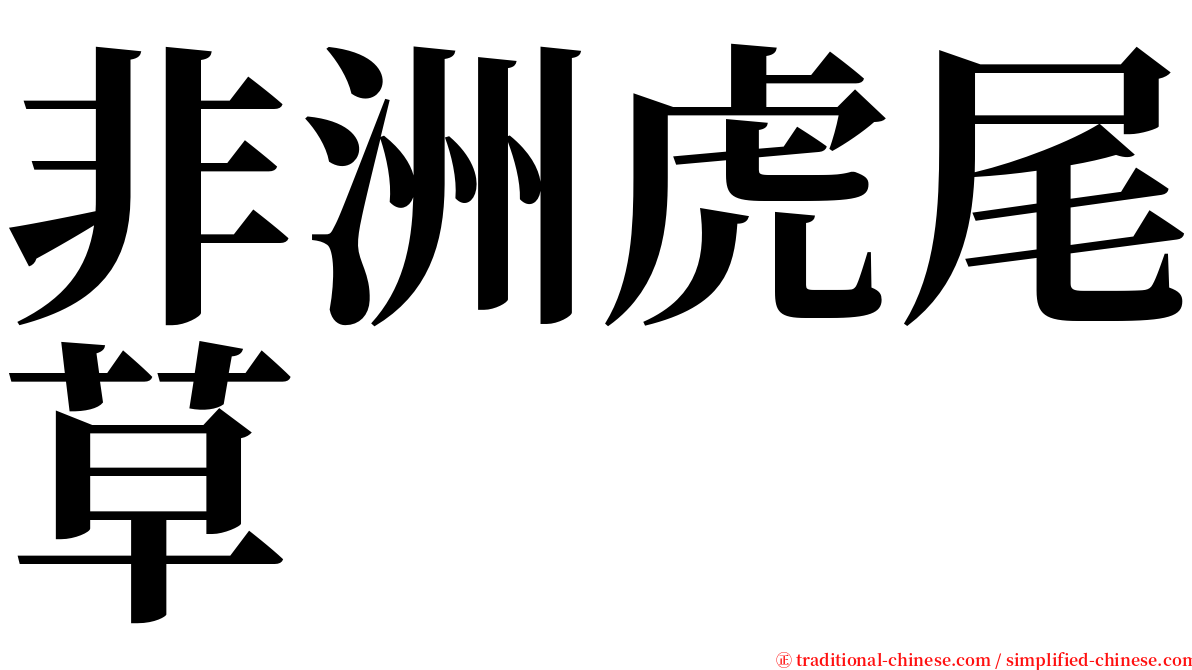 非洲虎尾草 serif font