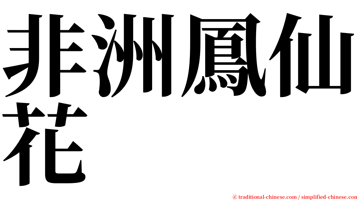 非洲鳳仙花 serif font