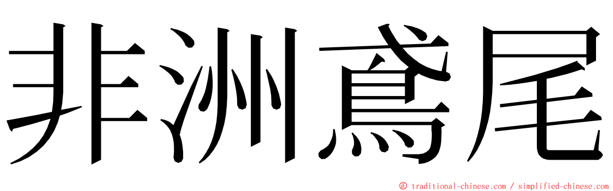 非洲鳶尾 ming font