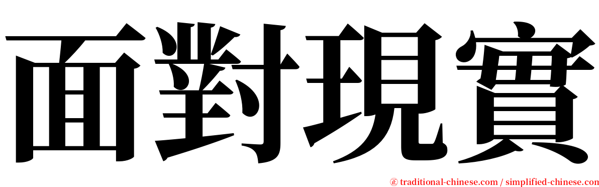 面對現實 serif font