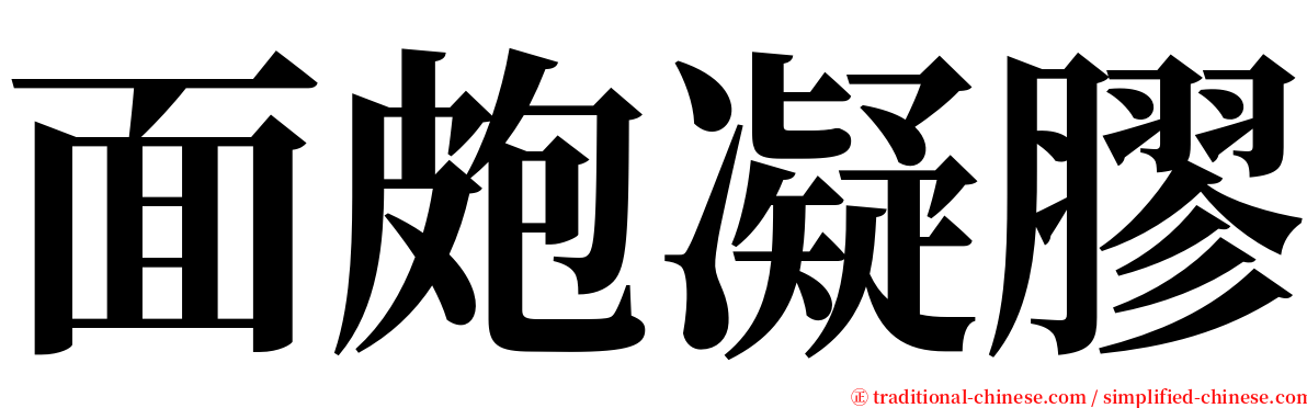 面皰凝膠 serif font