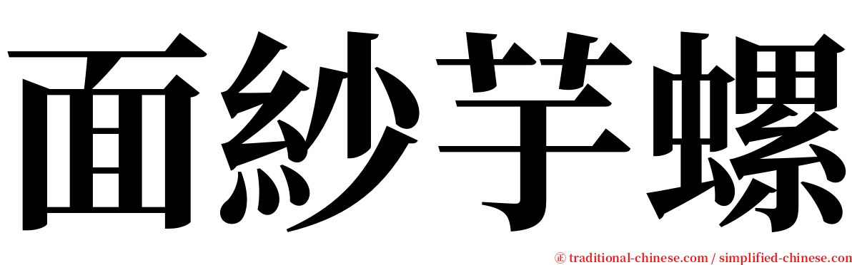 面紗芋螺 serif font